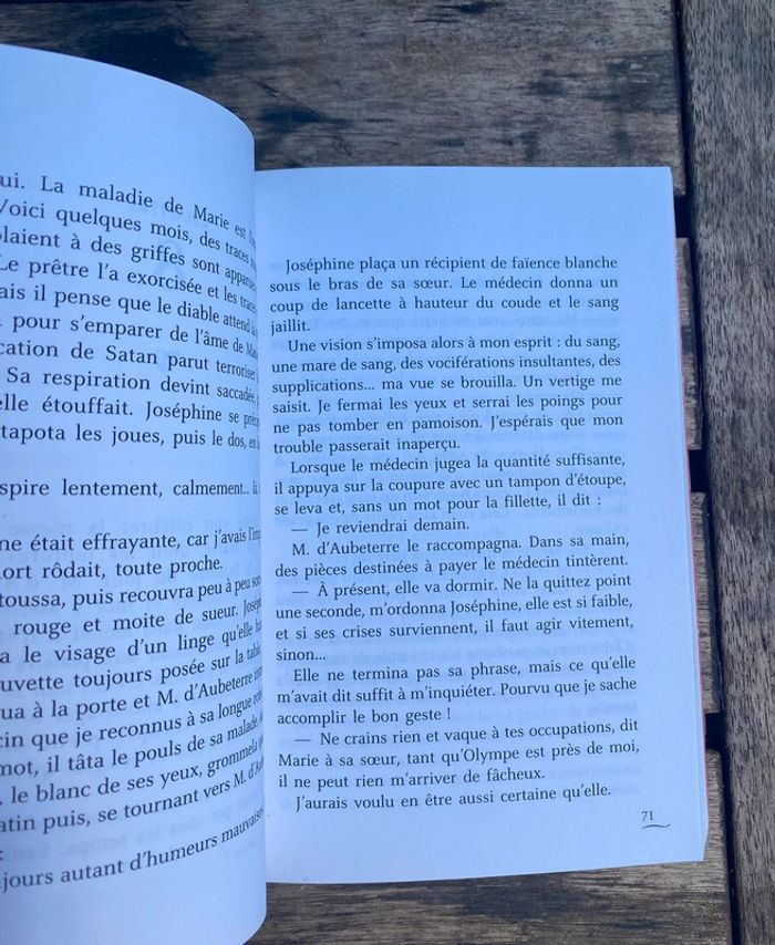 Les colombes du roi soleil, tome 9 - photo numéro 4