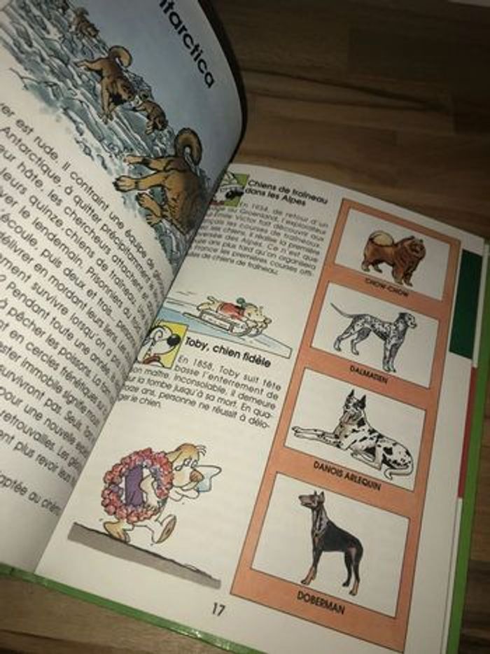 1991 livret mes carnets futés: le chien à partir de 9 ans - photo numéro 10