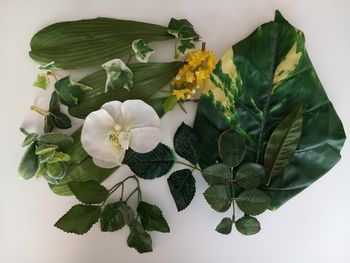 Lot feuillage artificiel DIY