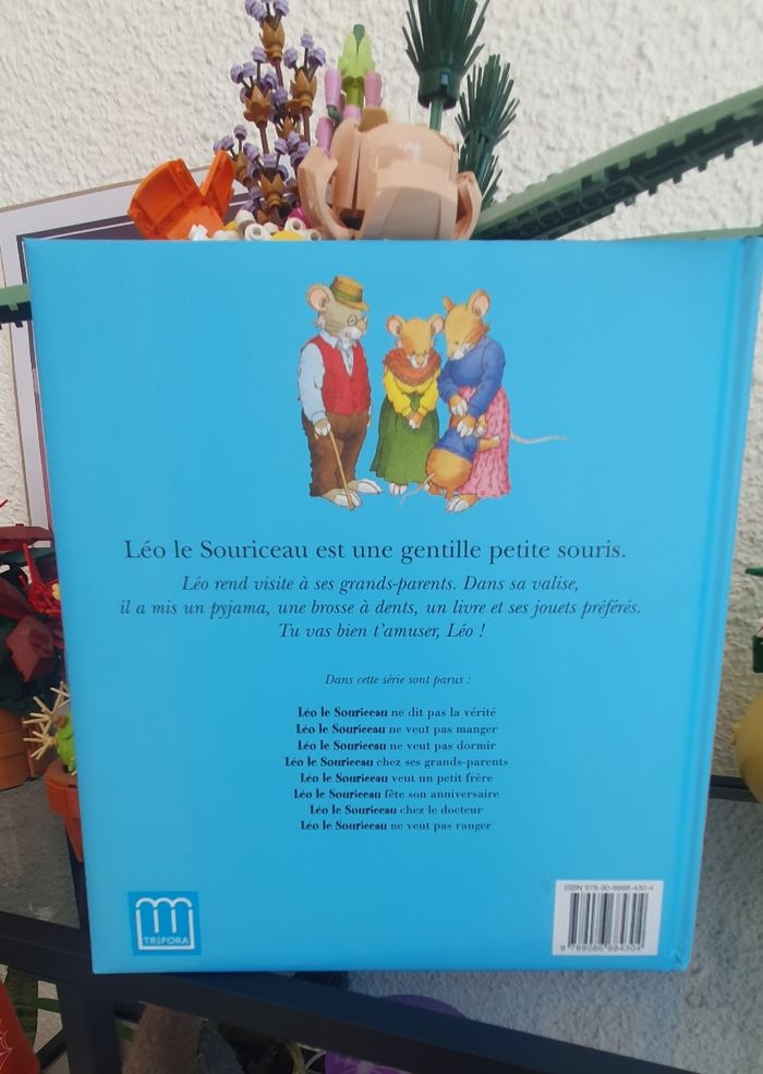 Livre Léo le souriceau chez ses grands-parents - photo numéro 2