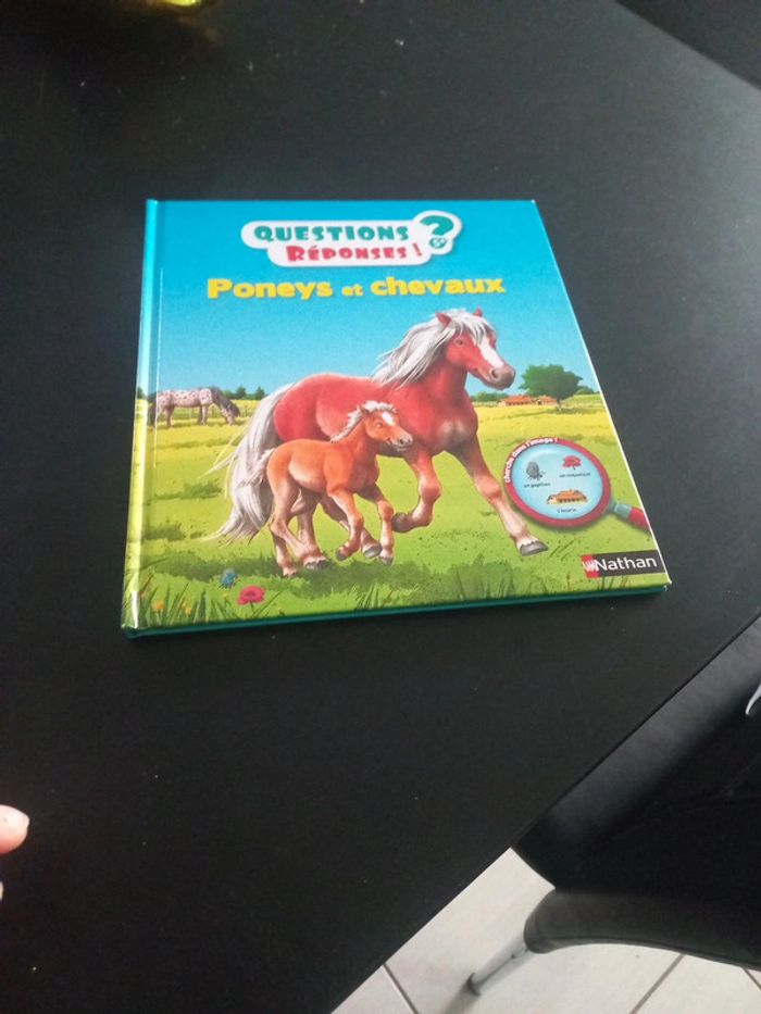 Livre questions réponses poneys et chevaux