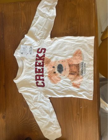 2 tee shirts garçon Creeks et LH