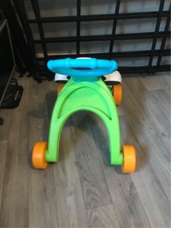 Trotteur zèbre - photo numéro 3