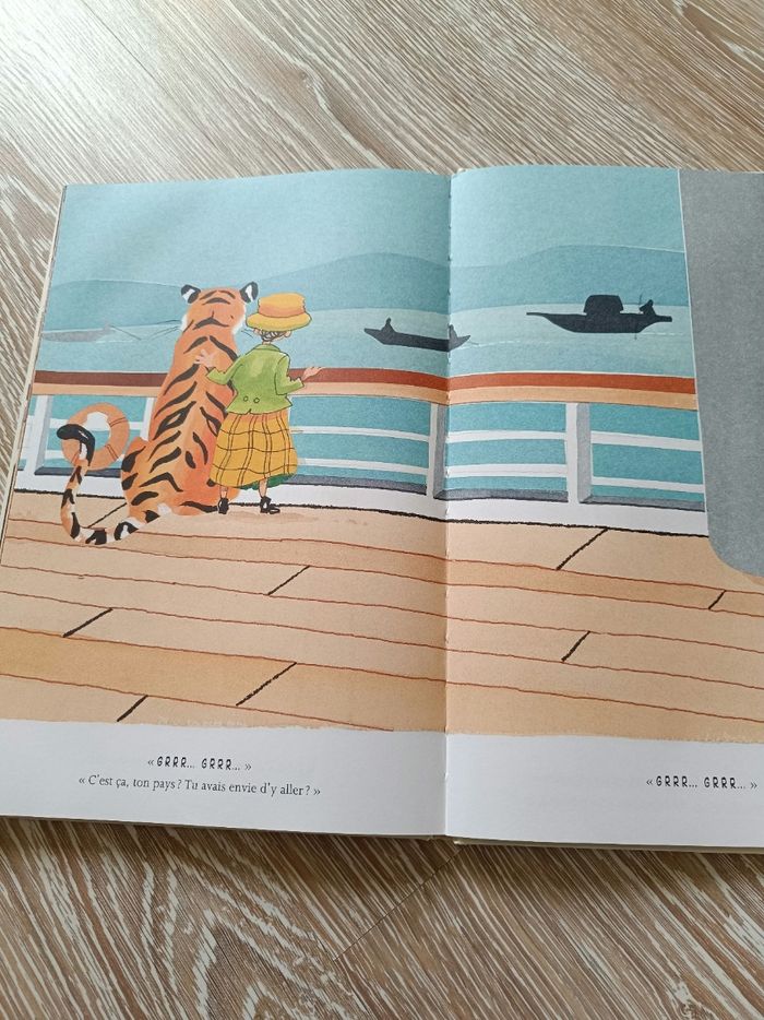 Livre tigre - photo numéro 3