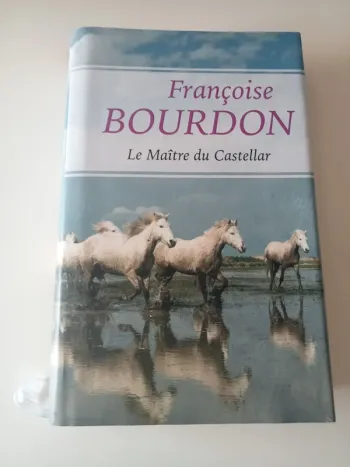 livre le maître du castellar