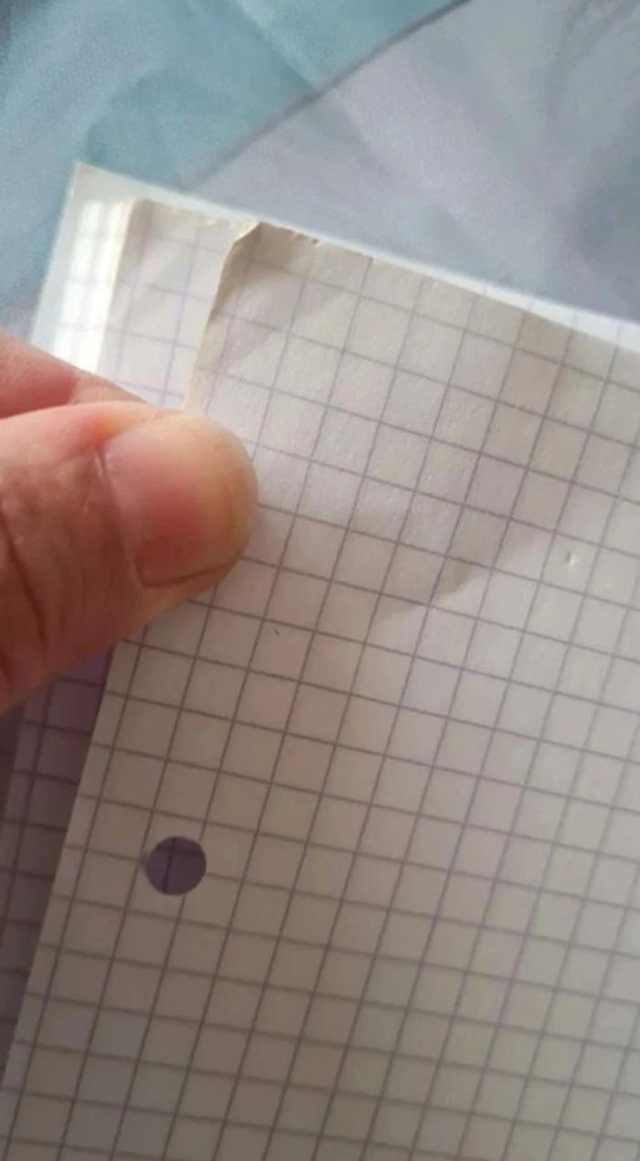 Lot  feuille  petit  et  grand  carreaux - photo numéro 6