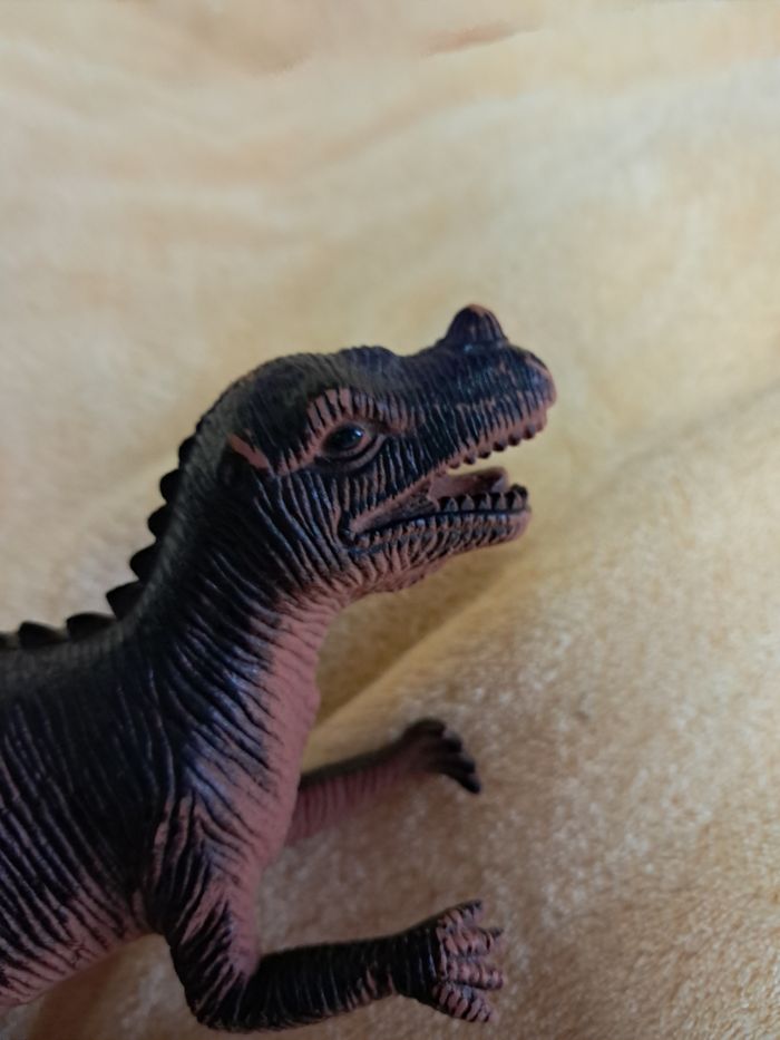 Dinosaure  cératosaure - photo numéro 3