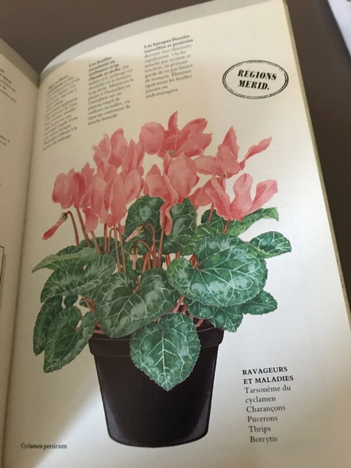 Livre Le guide des plantes d’intérieur - photo numéro 4
