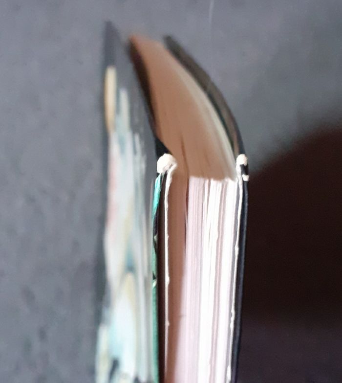 Livre Drôles de monstres Fantôme es-tu là ? - photo numéro 3