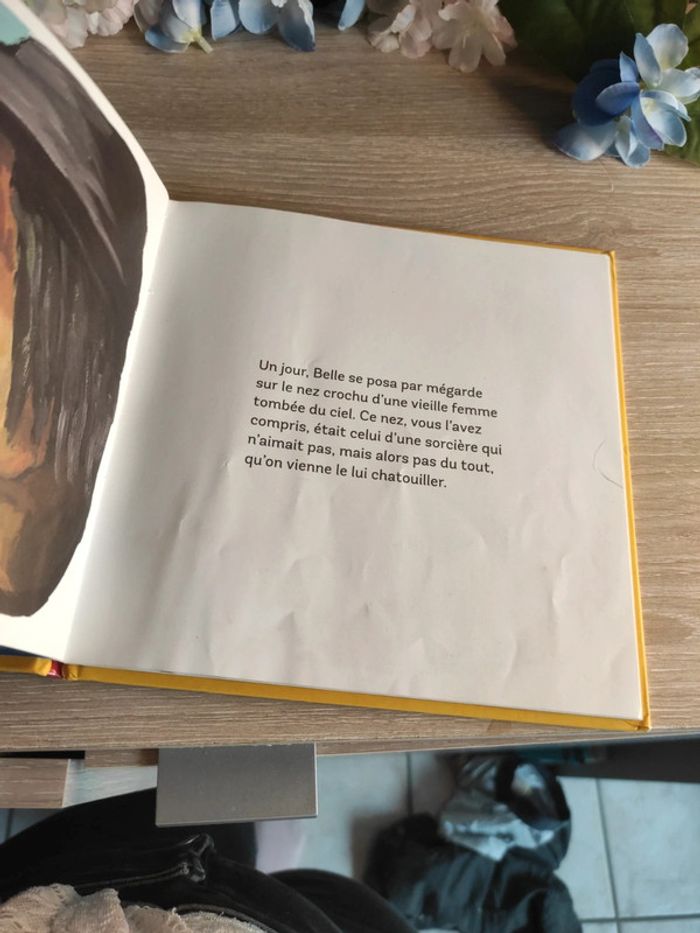 Belle la coccinelle – Drôles de Petites Bêtes – Gallimard Jeunesse - photo numéro 4