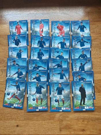 Carte FFF Bleus Carrefour 2014