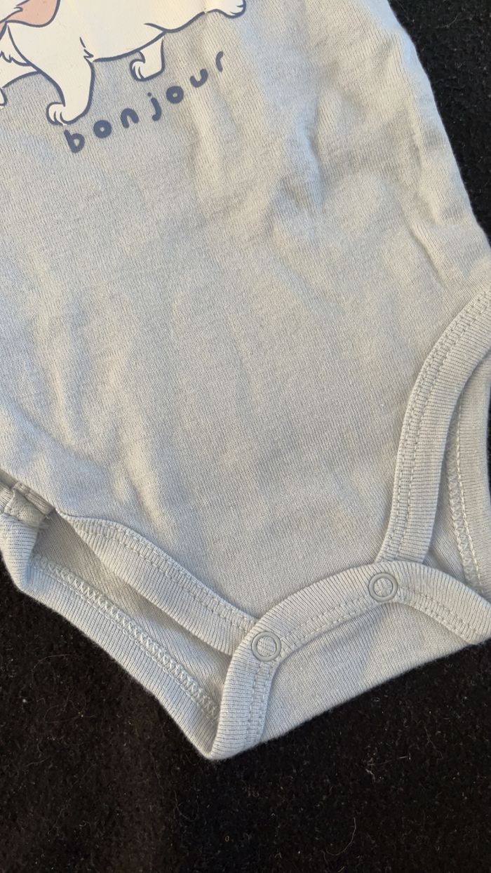 Bodie 3 mois - photo numéro 2