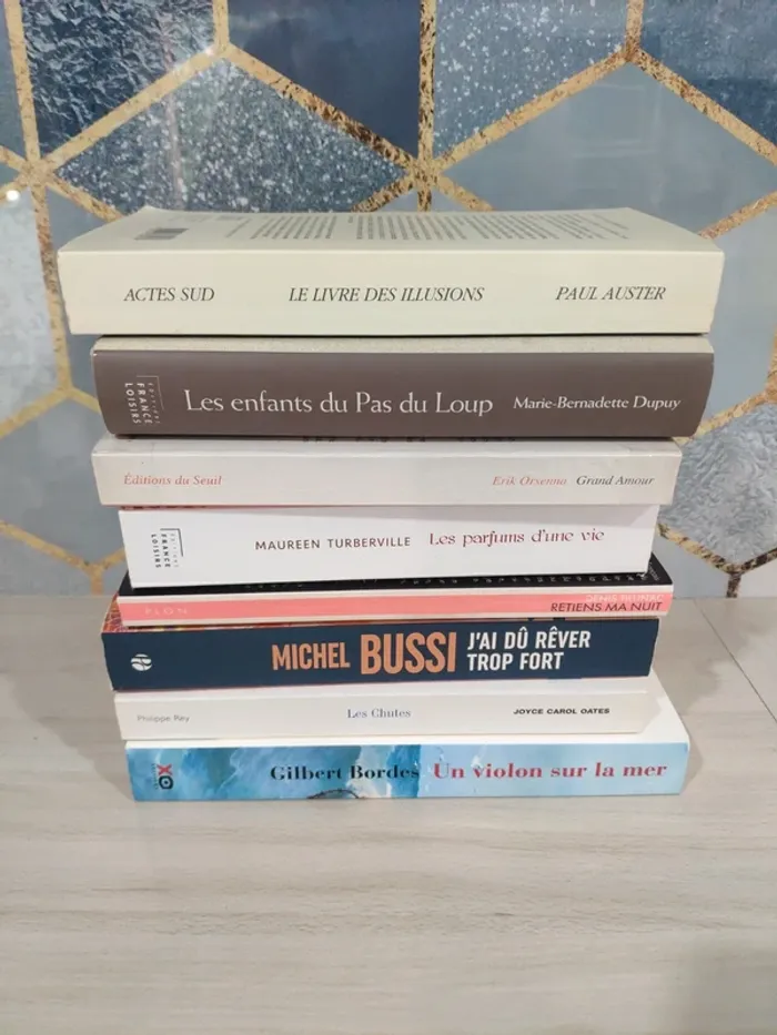 Lot 8 livres histoires d'amour romance passions Bussi Dupuy Auster Oates Bordes Orsenna Turberville - photo numéro 7