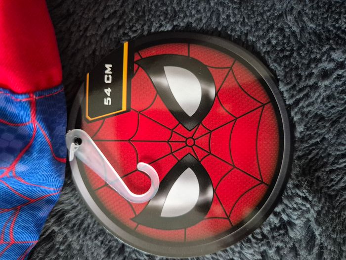 bob spiderman - photo numéro 3