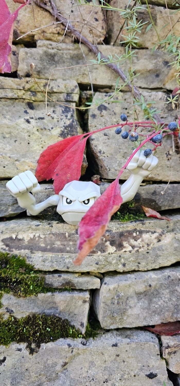 Super figurine Pokemon Nintendo racaillou - photo numéro 4