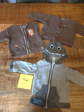 Lot de gillets