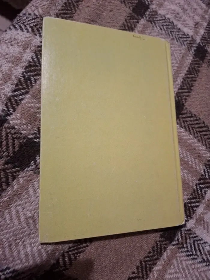 Riri, fifi, loulou et la boîte mystérieuse - photo numéro 4