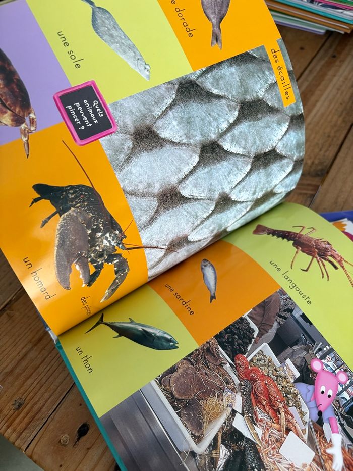Lot de 2 livres imagerie - photo numéro 7