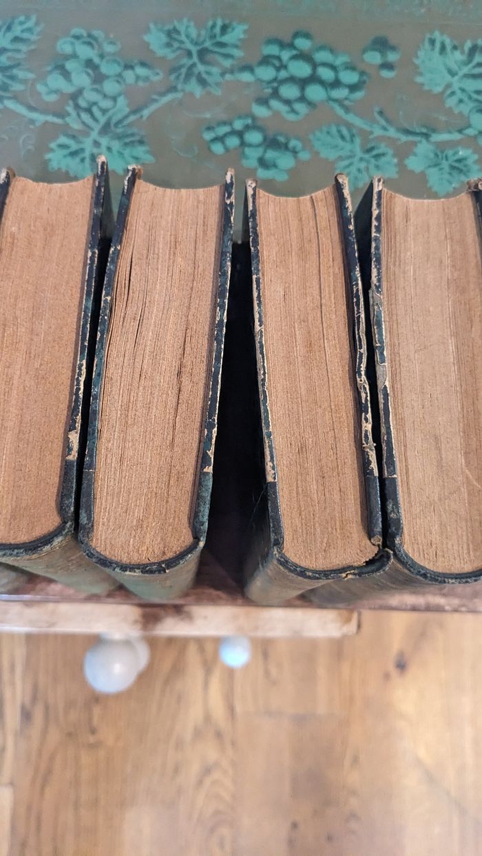 Lot de livres anciens " oeuvres complètes de Walter Scott" - photo numéro 6