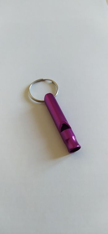 Sifflet de survie violet porte clé