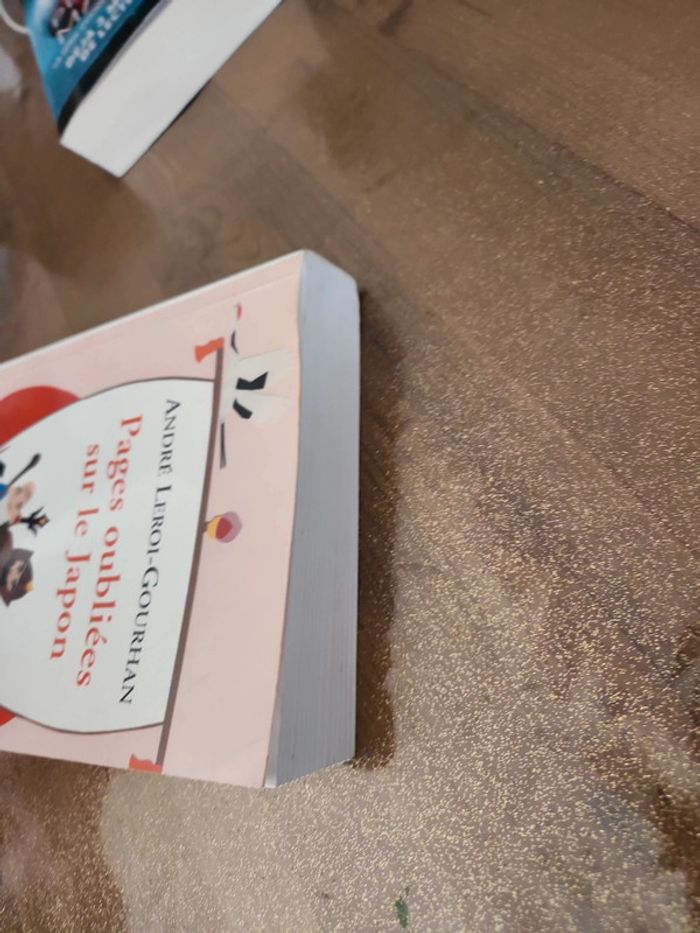 Livre : Pages oubliées sur le Japon - photo numéro 4