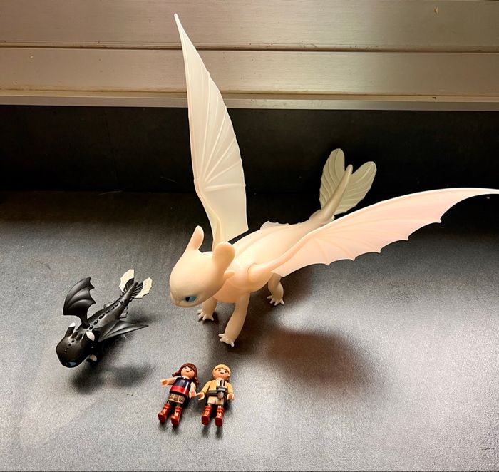 Furie Éclair et bébé Dragon avec Les Enfants playmobil - photo numéro 3