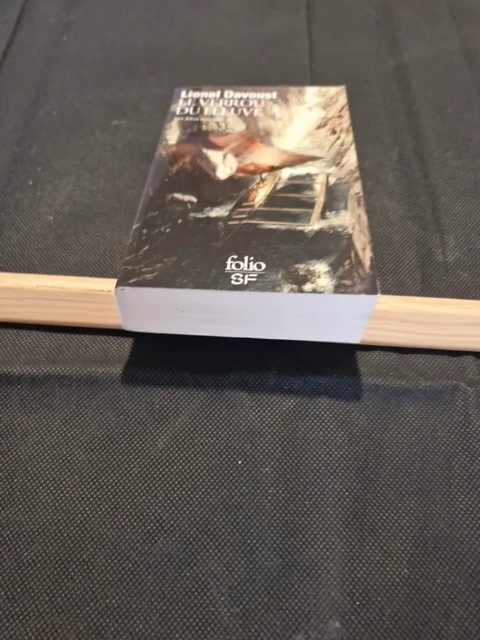Le Verrou du Fleuve: Les dieux sauvages, II - Lionel Davoust - photo numéro 2