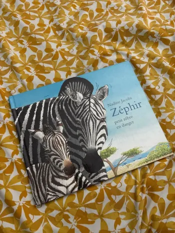 Zéphir petit zèbre en danger