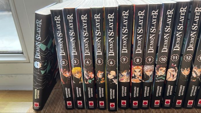 🔥 Lot Manga DEMON SLAYER – Intégrale + Collector Tome 1 + Coffret Tome 23 + Spin-off - photo numéro 2