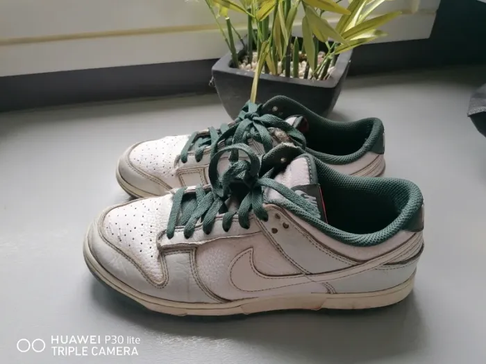 Nike dunk low