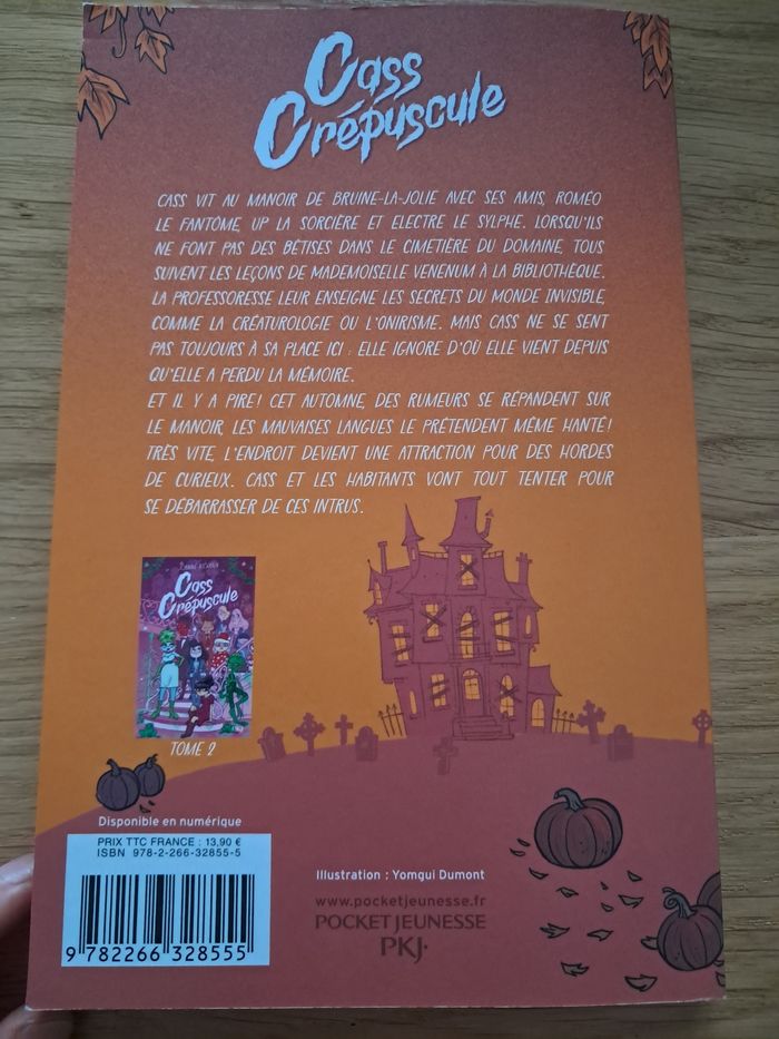Cass crépuscule Tome 1 - photo numéro 2