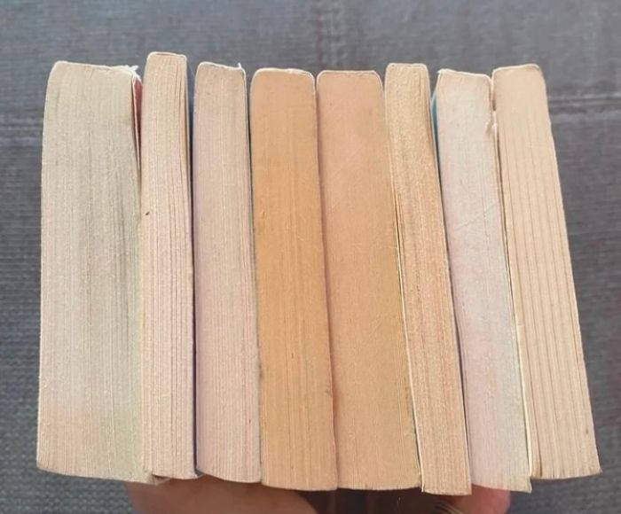 Lot livres - photo numéro 6