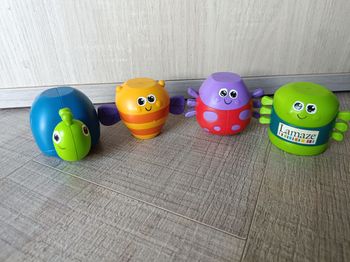 Insectes magnétiques Lamaze