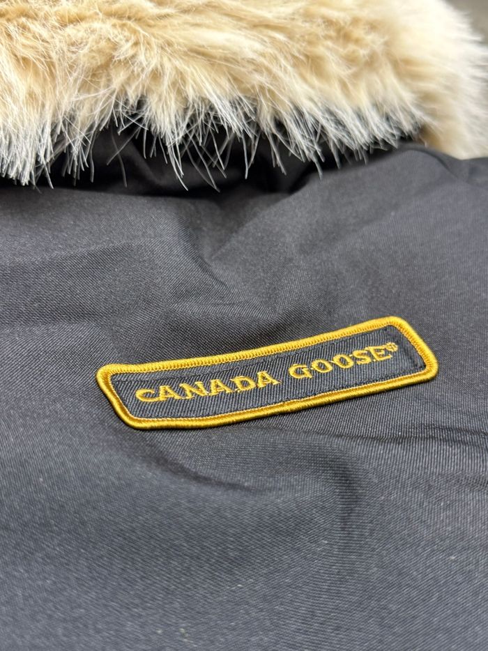 Canada goose - photo numéro 4