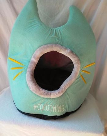 😸 Dôme #cocooning en tête de chat