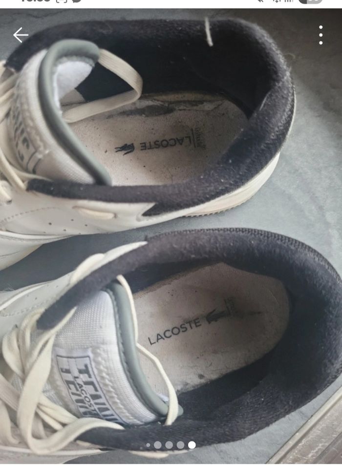 Bascket femme lacoste