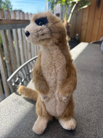 Peluche suricate