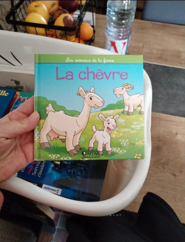 Lot livres tout petits - photo numéro 6