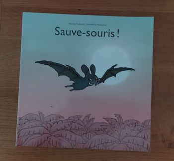 Sauve souris ! - l'école des loisirs 