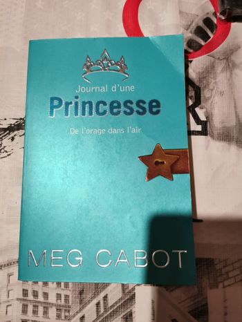 Livre Journal d'une Princesse tome 8