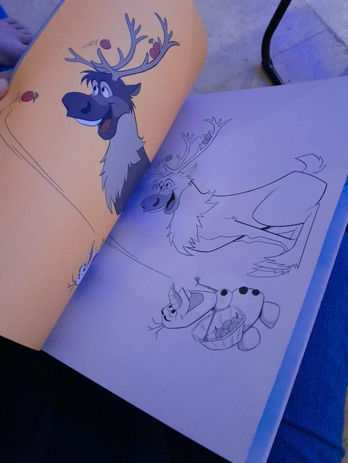 Livre de coloriage reine des neiges - photo numéro 6