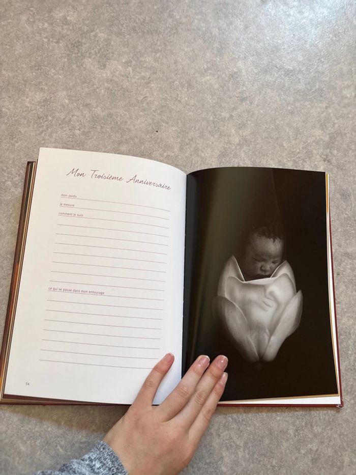 livre naissance avec photos de anne Geddes neuf - photo numéro 3