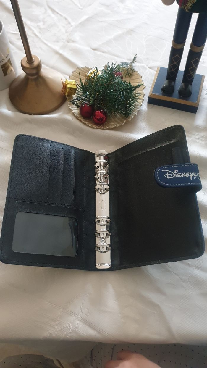 Organisateur disneyland paris - photo numéro 2