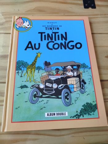 Album double tintin