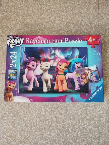 Puzzle little pony