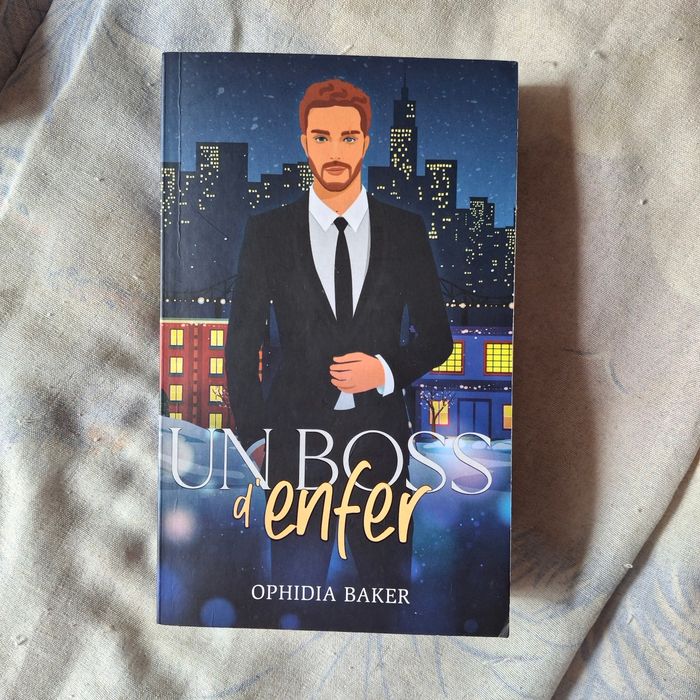 Livres New Romance - photo numéro 6