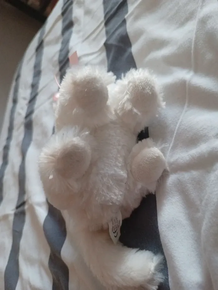 Jolie petit chat en peluche - photo numéro 9