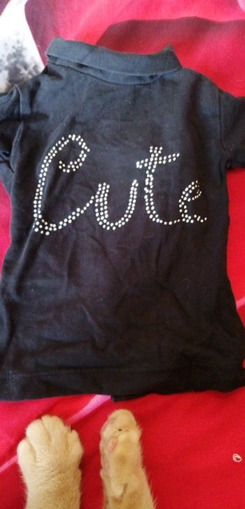 Tee shirt col roulé manche longue