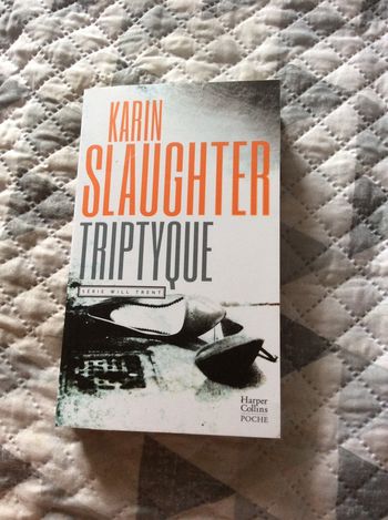 #triptyque par Karin slaughter
