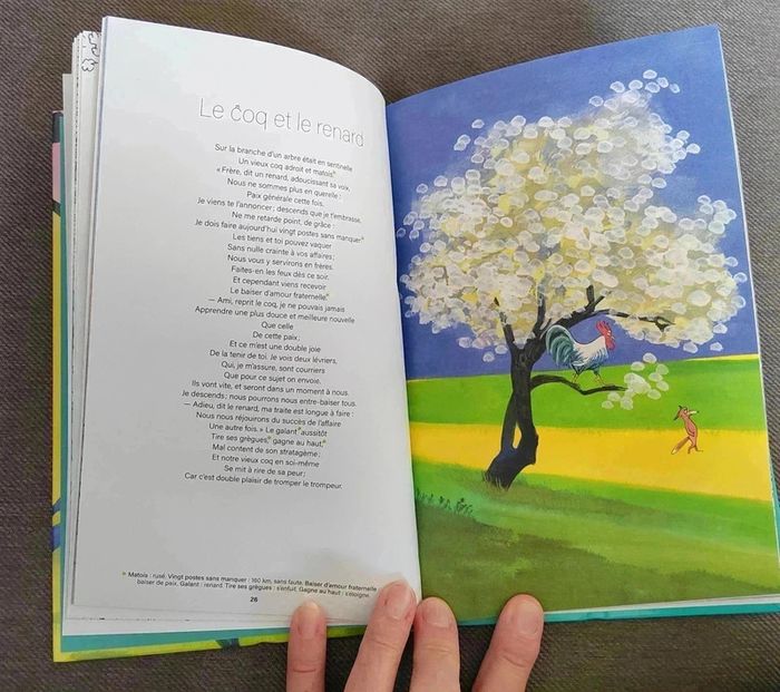8 € Livre Fables Jean de la Fontaine - photo numéro 8